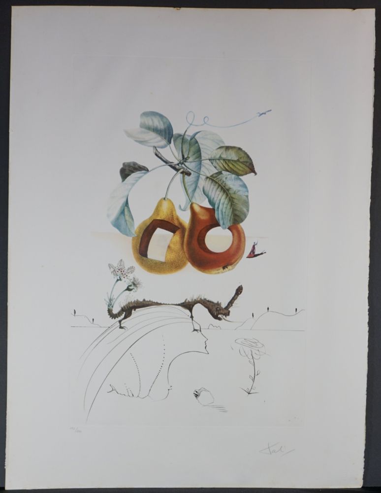 Gravure Dali - FlorDali/Le Fruits Fruit With Holes