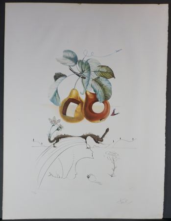 Gravure Dali - FlorDali/Le Fruits Fruit With Holes