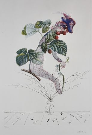 Gravure Dali - FlorDali/Les Fruits Raspberry