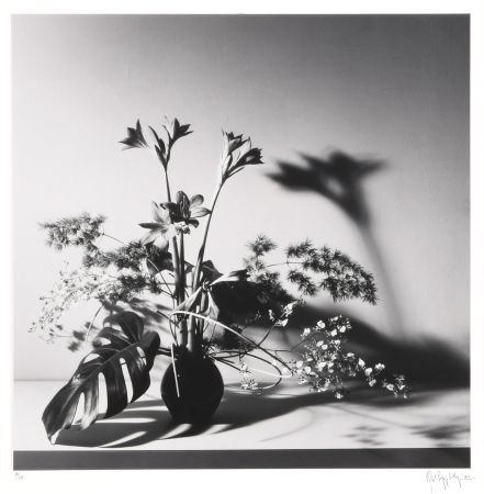 Photographie Mapplethorpe - Flower Arrangement, N.Y.C.