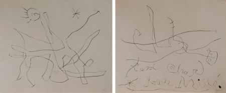 Pointe-Sèche Miró - Flux de l'aimant