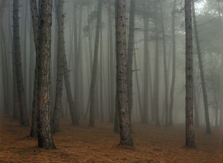 Photographie Sitchinava - Fog in September