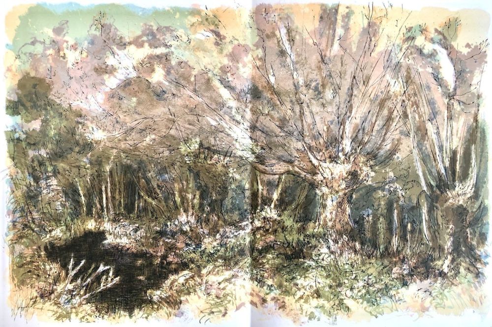 Lithographie Steinlen - Forêt voisine