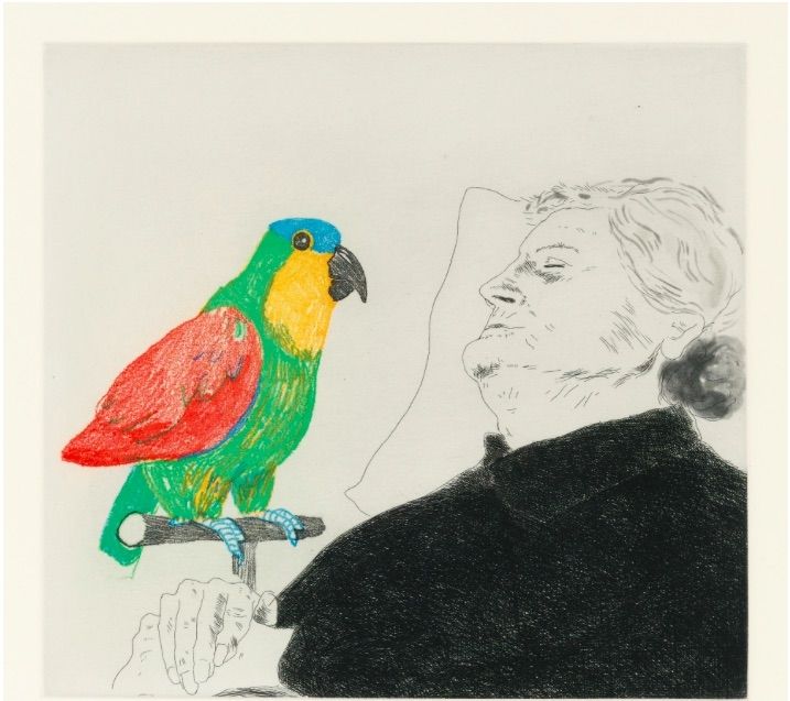 Eau-Forte Hockney -  Félicité sleeping with Parrot. 1974
