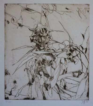 Gravure Janssen - Für Jens Christians 14.10.73