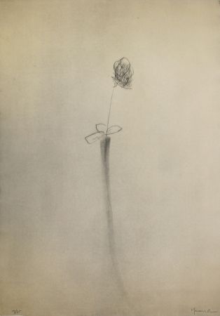Pointe-Sèche Hernandez Pijuan - Gerro i flor (Vase and Flower)