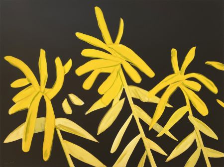 Aucune Technique Katz - Goldenrod from The Flowers Portfolio