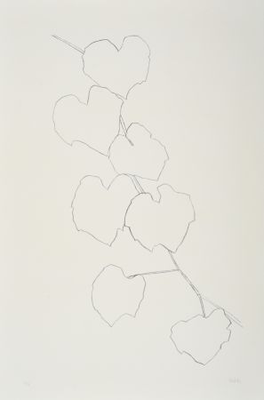 Lithographie Kelly - Grape Leaves II
