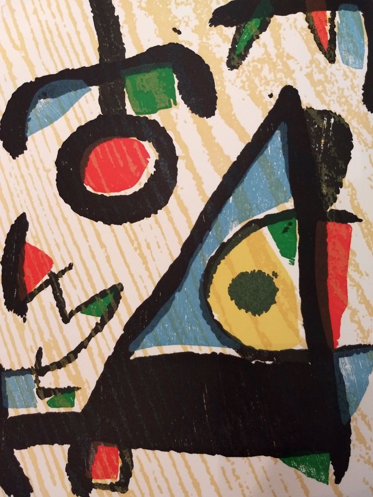 Livre Illustré Miró - Graveur 2
