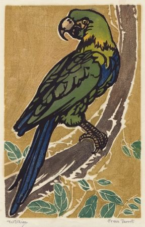 Gravure Sur Bois Rice - Green Parrot
