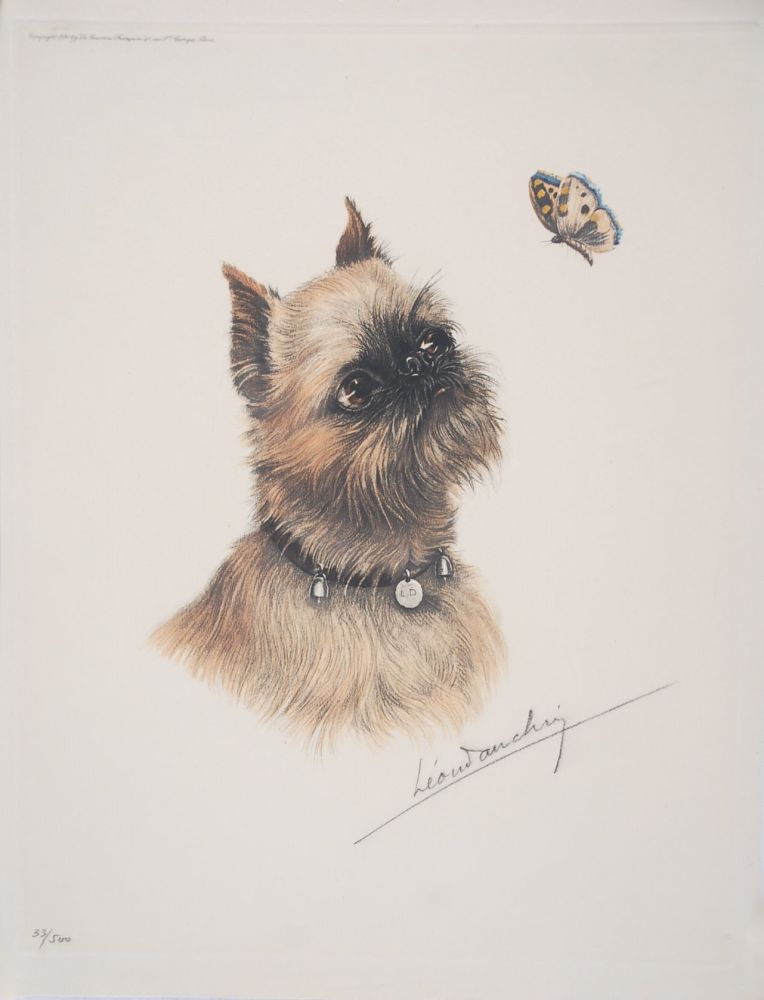 Eau-Forte Danchin - Griffon Bruxellois et papillon - Brussel Griffon and butterfly