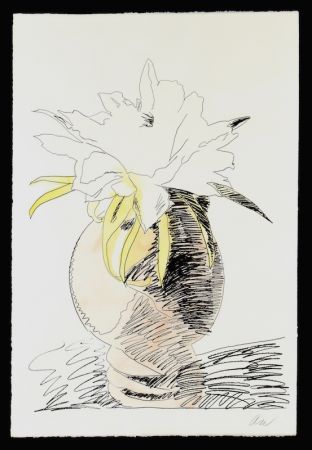 Sérigraphie Warhol - Hand Colored Flowers III.114