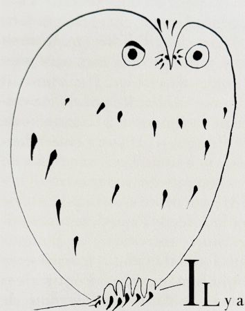 Lithographie Picasso - Hibou