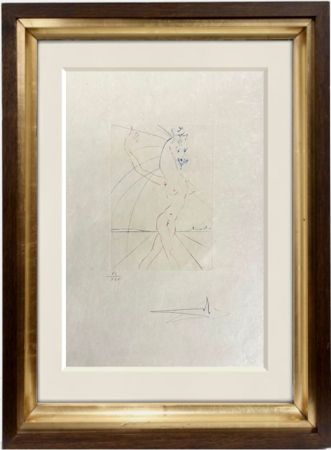 Pointe-Sèche Dali - Hippofemme
