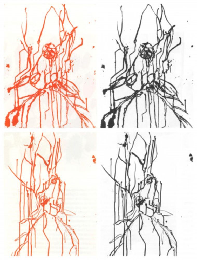 Eau-Forte Et Aquatinte Baselitz - Hirsche (set of 4)