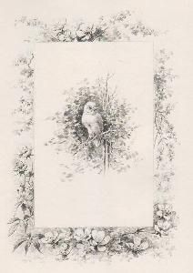 Livre Illustré Giacomelli - Histoire d'un merle blanc. Compositions de Hector Giacomelli gravées à l'eau-forte par L. Buisson.