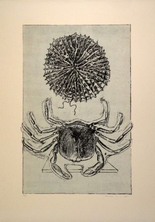 Livre Illustré Ernst - Histoire naturelle