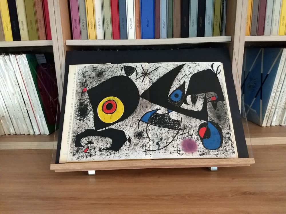 Livre Illustré Miró - Hommage