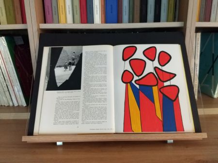 Livre Illustré Calder - Hommage