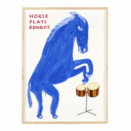 Aucune Technique Shrigley -  Horse plays Bongos