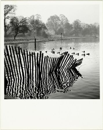 Photographie Gomis - Hyde Park