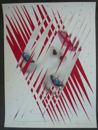 Lithographie Rosenquist - Ice Point