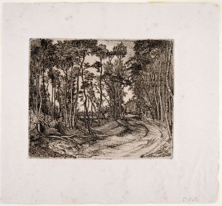 Gravure Bozzetti - IL BOSCO CHE GUARDA VERSO L'ESTERNO (The forest that looks to the outside) 