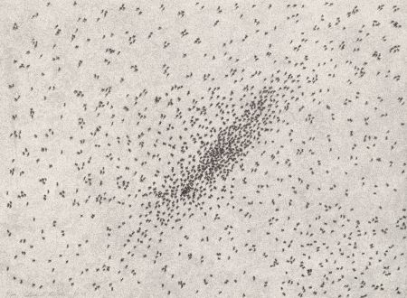 Lithographie Ruscha - Insect Slants (Ants)