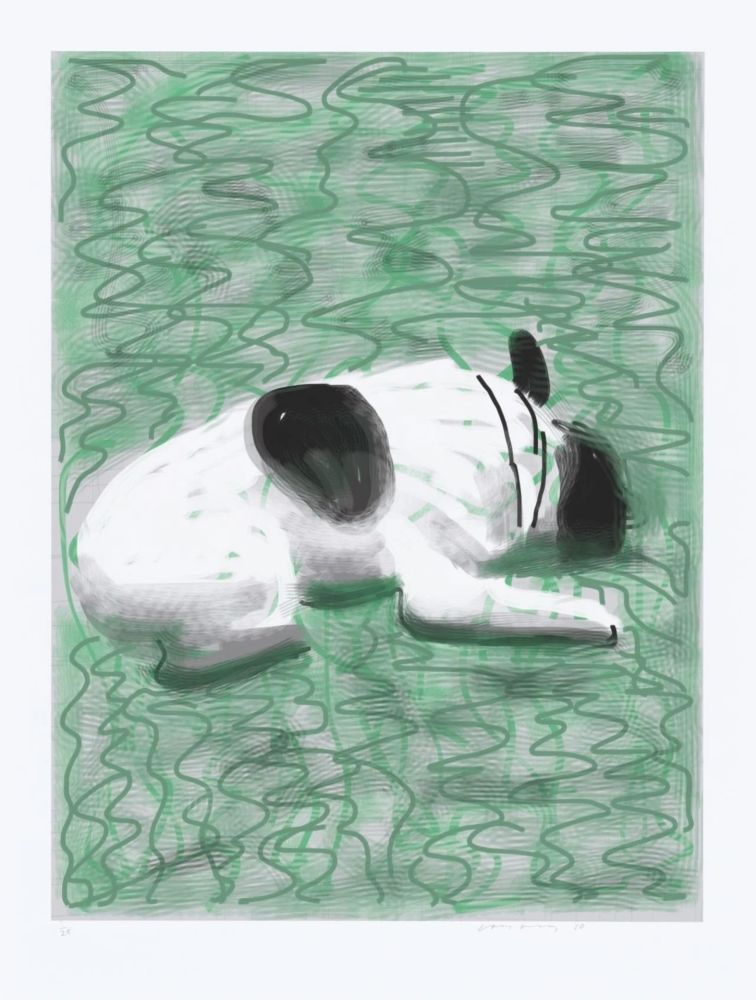 Multiple Hockney - IPad drawing - Moujik