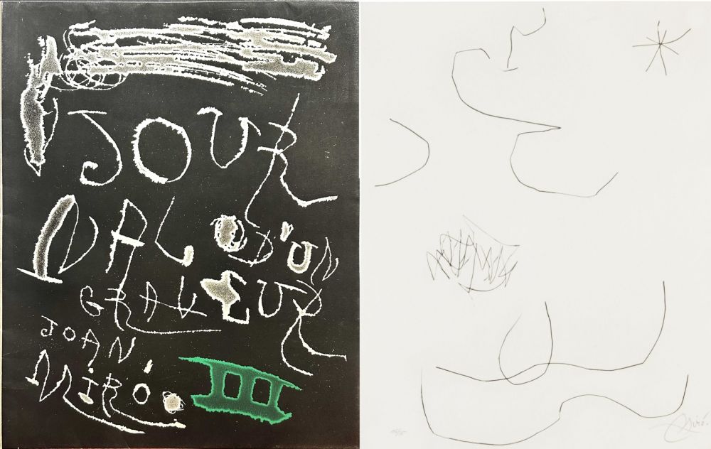 Eau-Forte Et Aquatinte Miró - Journal d'un Graveur (INCLUDE THE ORIGINAL FOULDER)