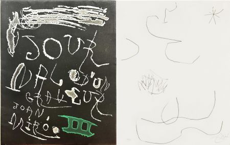 Eau-Forte Et Aquatinte Miró - Journal d'un Graveur (INCLUDE THE ORIGINAL FOULDER)