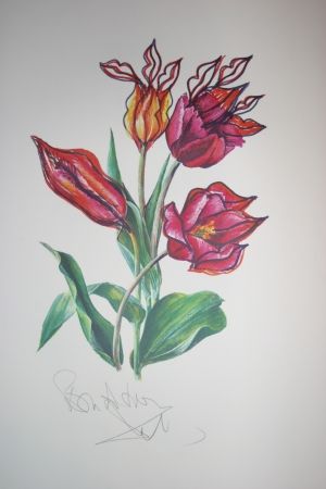 Lithographie Dali - Kissing Tulips (surrealistic flowers)