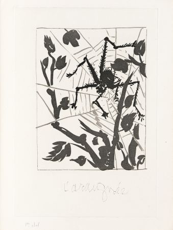 Gravure Picasso - L' Araignée 