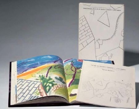 Livre Illustré Hockney -  La Isla de Martha Vineyard y otros lugares
