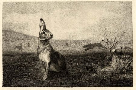 Gravure Bracquemond - La lièvre (The Hare)