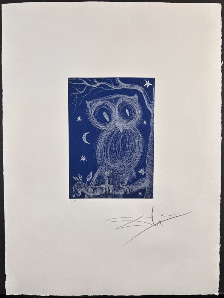 Gravure Dali - La Petite Chouette 2
