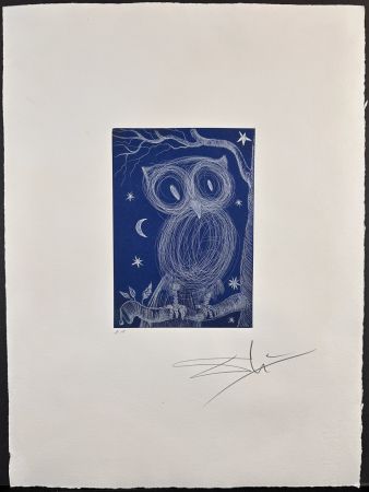 Gravure Dali - La Petite Chouette 2