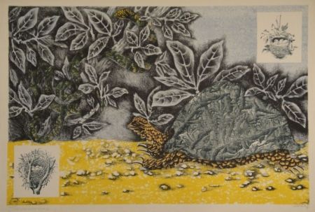 Lithographie Lurcat - La Tortue