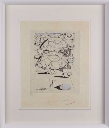 Héliogravure Dali - La tortue