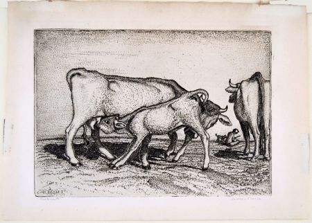 Gravure Bozzetti - LA VACCA E IL BOCCINO (The cow and the calf), fourth version. 
