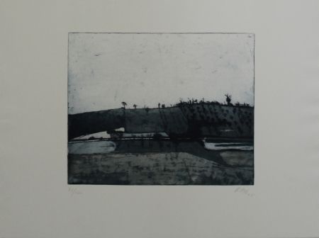 Eau-Forte Et Aquatinte Biederbick - Landschaft / Landscape