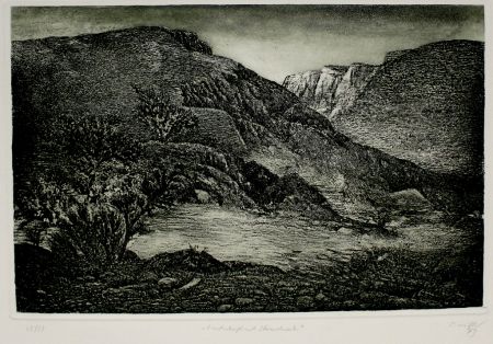 Eau-Forte Et Aquatinte Müller - Landschaft mit Strauchwerk / Landscape with Bushes