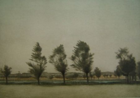 Manière Noire Ilsted - Landskab fra Falster - Landscape at Falster