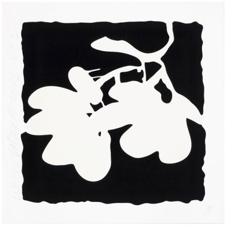 Sérigraphie Sultan - Lantern Flowers, May 10, 2012 (White)