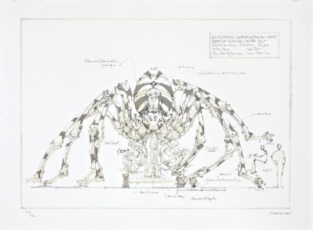 Lithographie Delarozière - L'araignée géante
