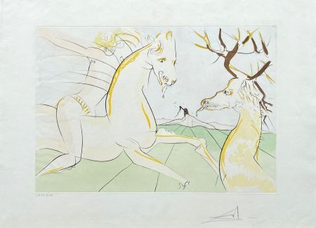 Gravure Dali - Le Cavalier et le Cerf