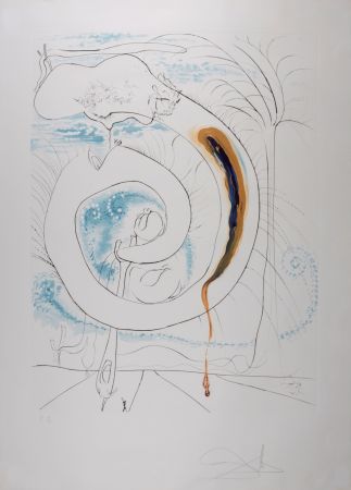 Lithographie Dali - Le cercle viscéral du cosmos