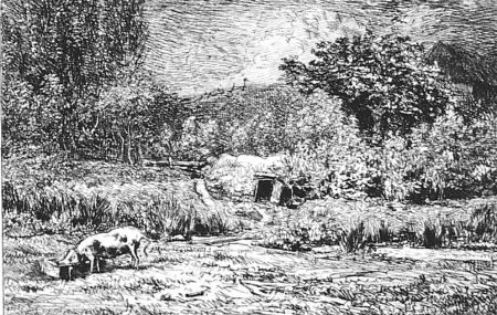 Eau-Forte Daubigny - Le cochon dans un verger