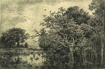 Gravure Daubigny - Le marais aux cigognes