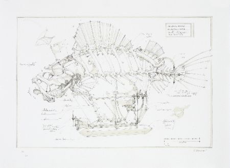 Lithographie Delarozière - Le poisson pirate